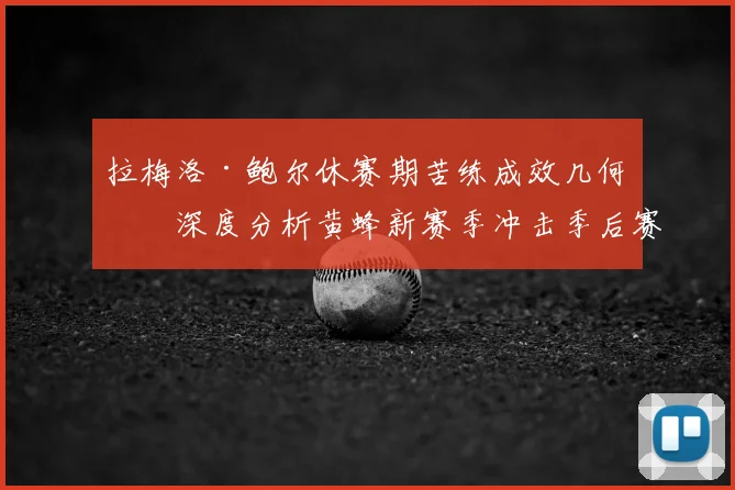 拉梅洛·鲍尔休赛期苦练成效几何？深度分析黄蜂新赛季冲击季后赛的关键