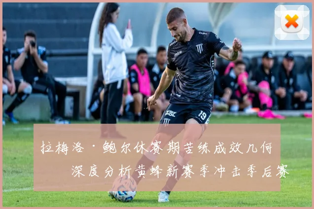 拉梅洛·鲍尔休赛期苦练成效几何?深度分析黄蜂新赛季冲击季后赛的关键